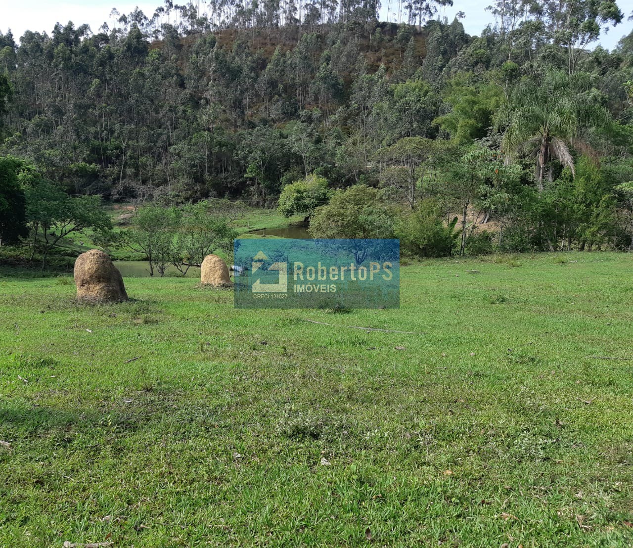 Fazenda de 29 alqueires à venda no centro de caçapava-sp: op