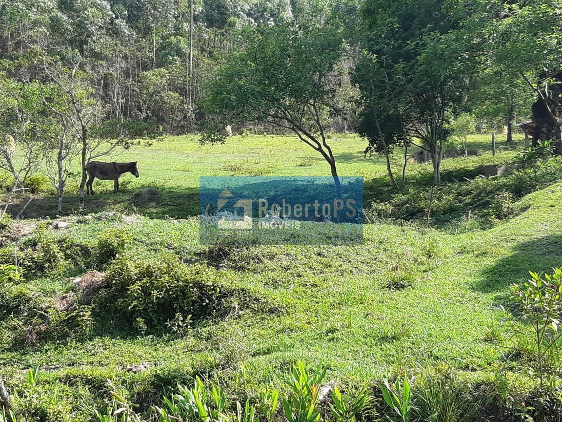 Fazenda de 29 alqueires à venda no centro de caçapava-sp: op