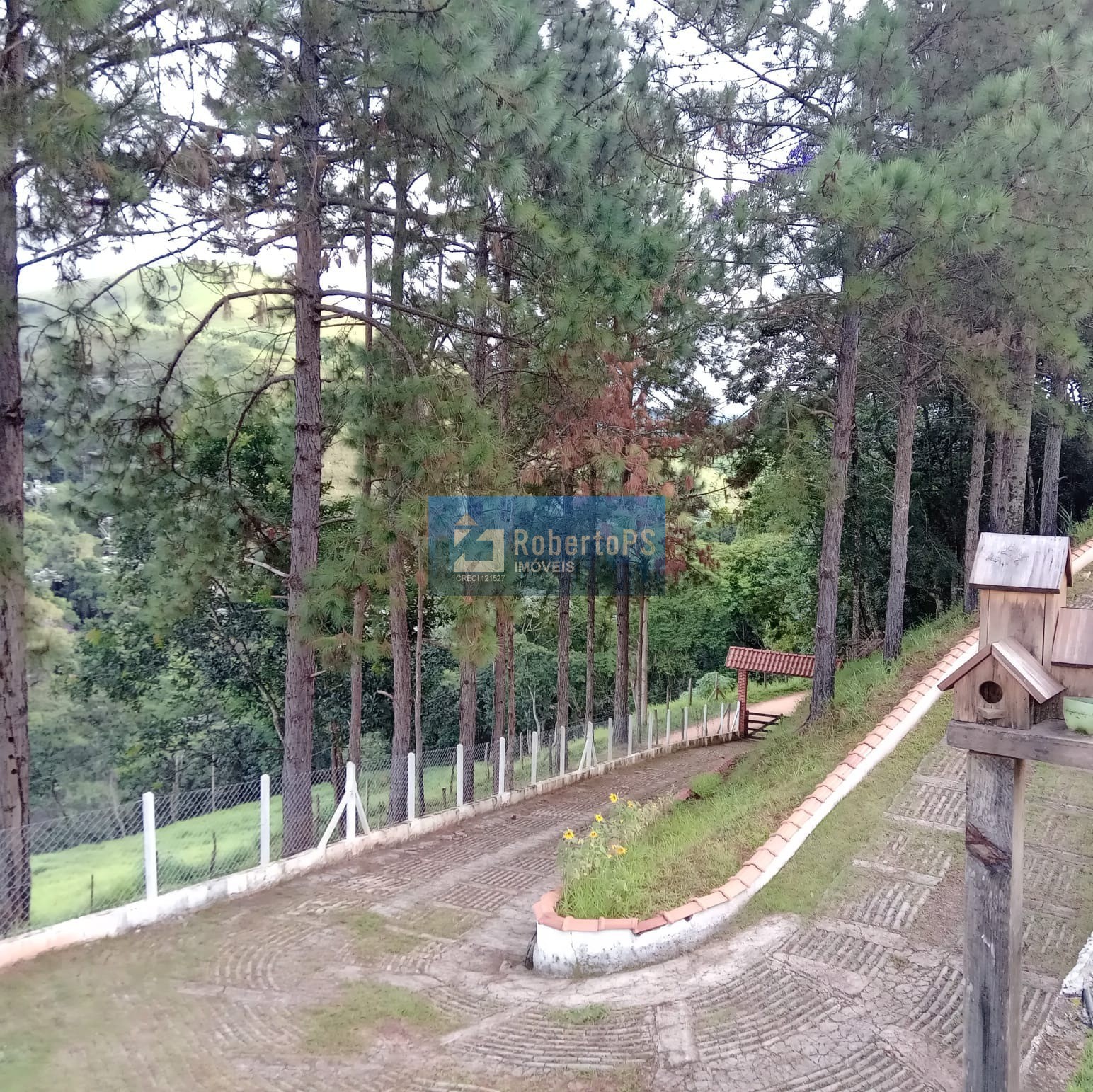 Chácara de 24000m2 (1 alqueire) com localização e vista maravilhosa