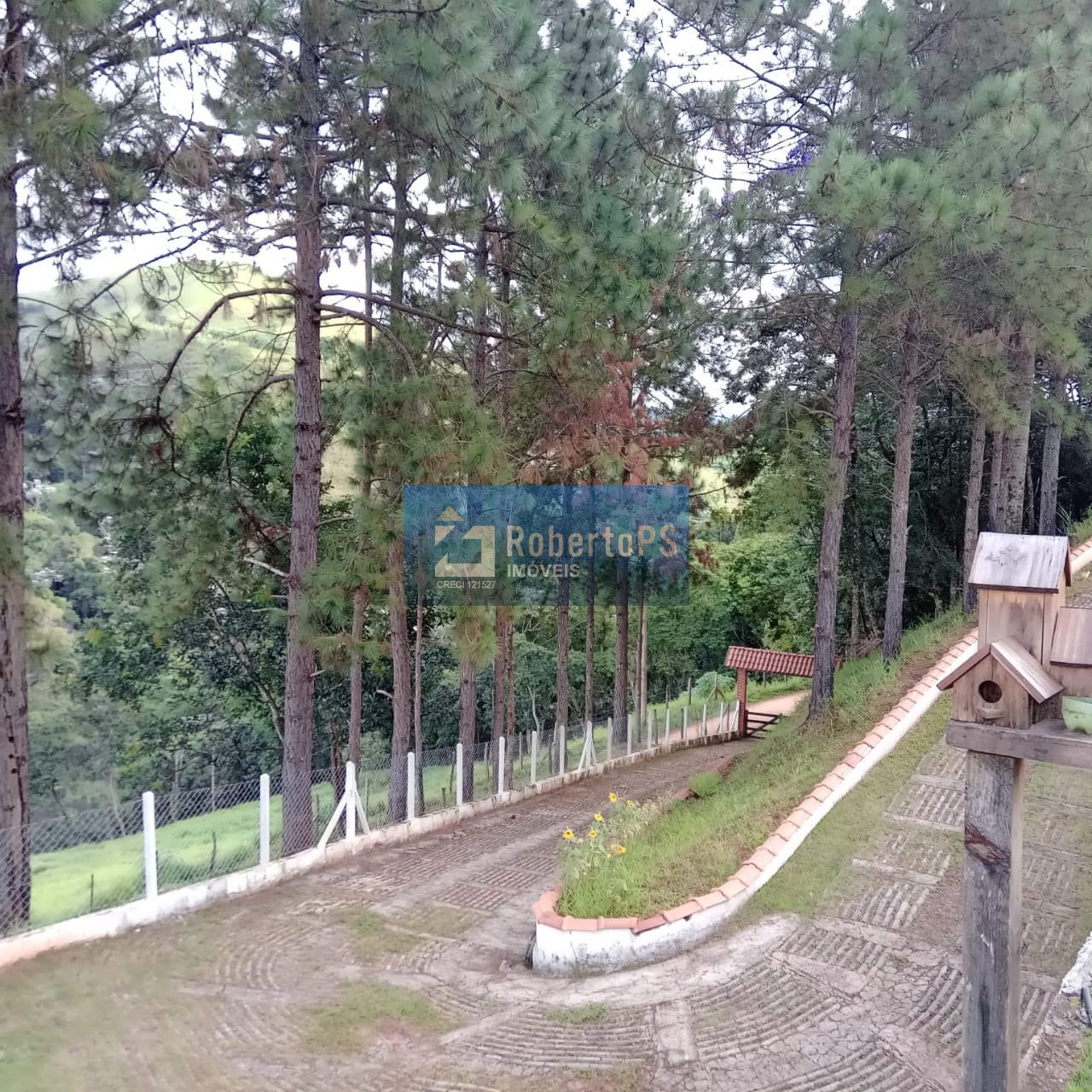 Chácara de 24000m2 (1 alqueire) com localização e vista maravilhosa
