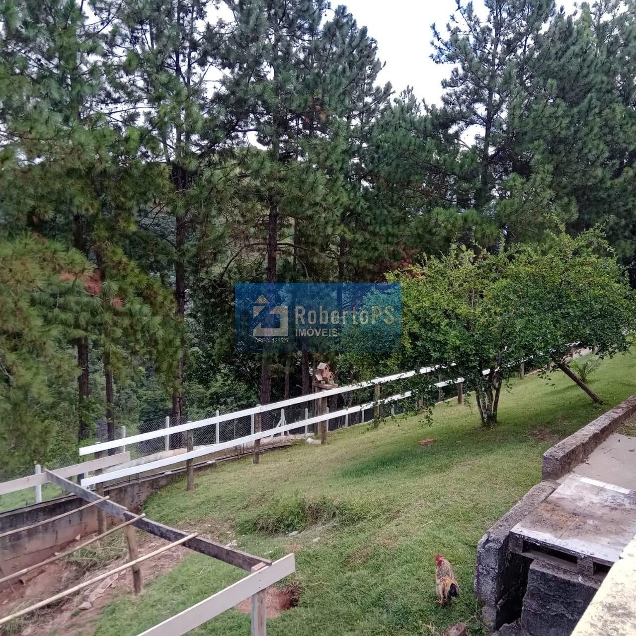 Chácara de 24000m2 (1 alqueire) com localização e vista maravilhosa