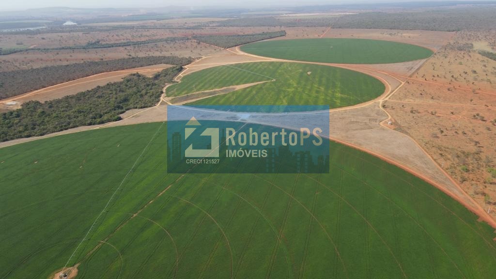 A melhor fazenda do brasil, localizada em minas gerais produ