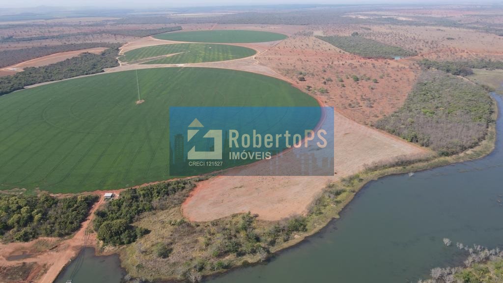 A melhor fazenda do brasil, localizada em minas gerais produ