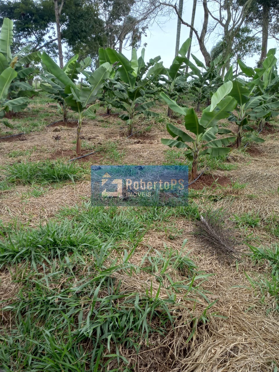 Vendo sitio de luxo no canto das águas em jacareí-sp: 3 quar