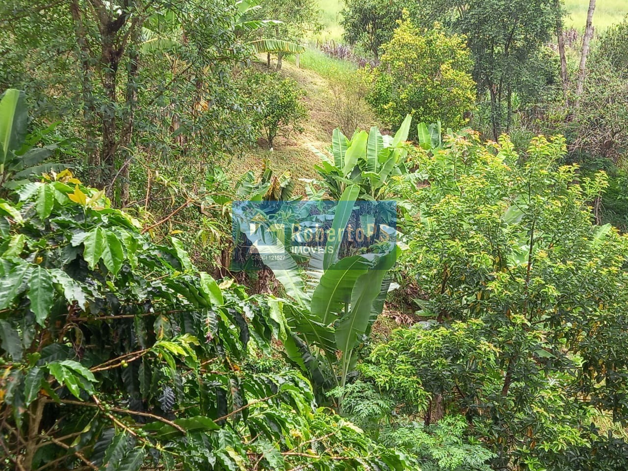 Vendo sitio de luxo no canto das águas em jacareí-sp: 3 quar