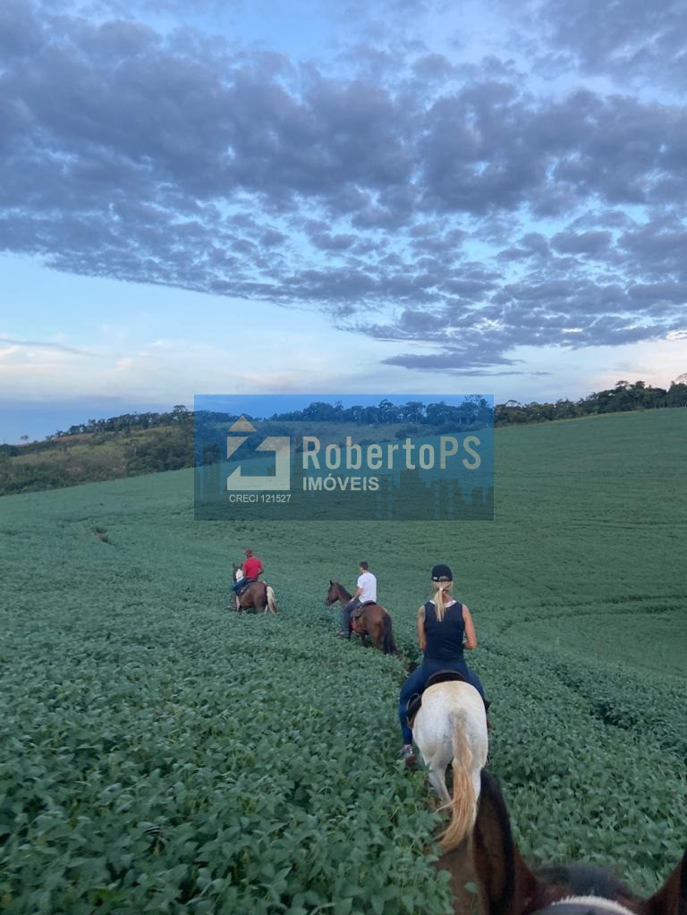 Fazenda no Sul de Minas de 440 hectares