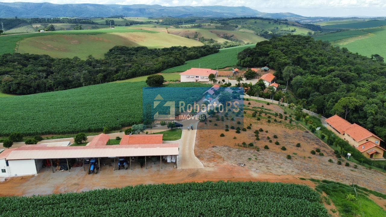 Fazenda comercial à venda em minduri-mg - bairro centro, 171