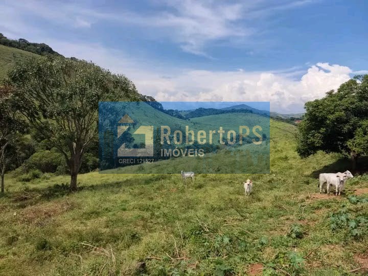 Fazenda a venda com 347 hectares no sul de minas por R$10,00