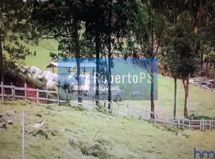 Fazenda de luxo à venda em oliveira-mg, centro: 4 quartos, 4