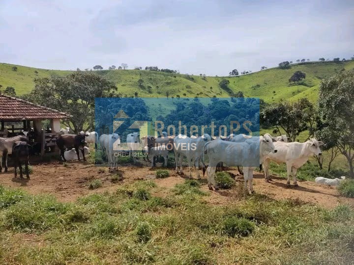 Fazenda a venda com 347 hectares no Sul de Minas por R$10,000.000,00