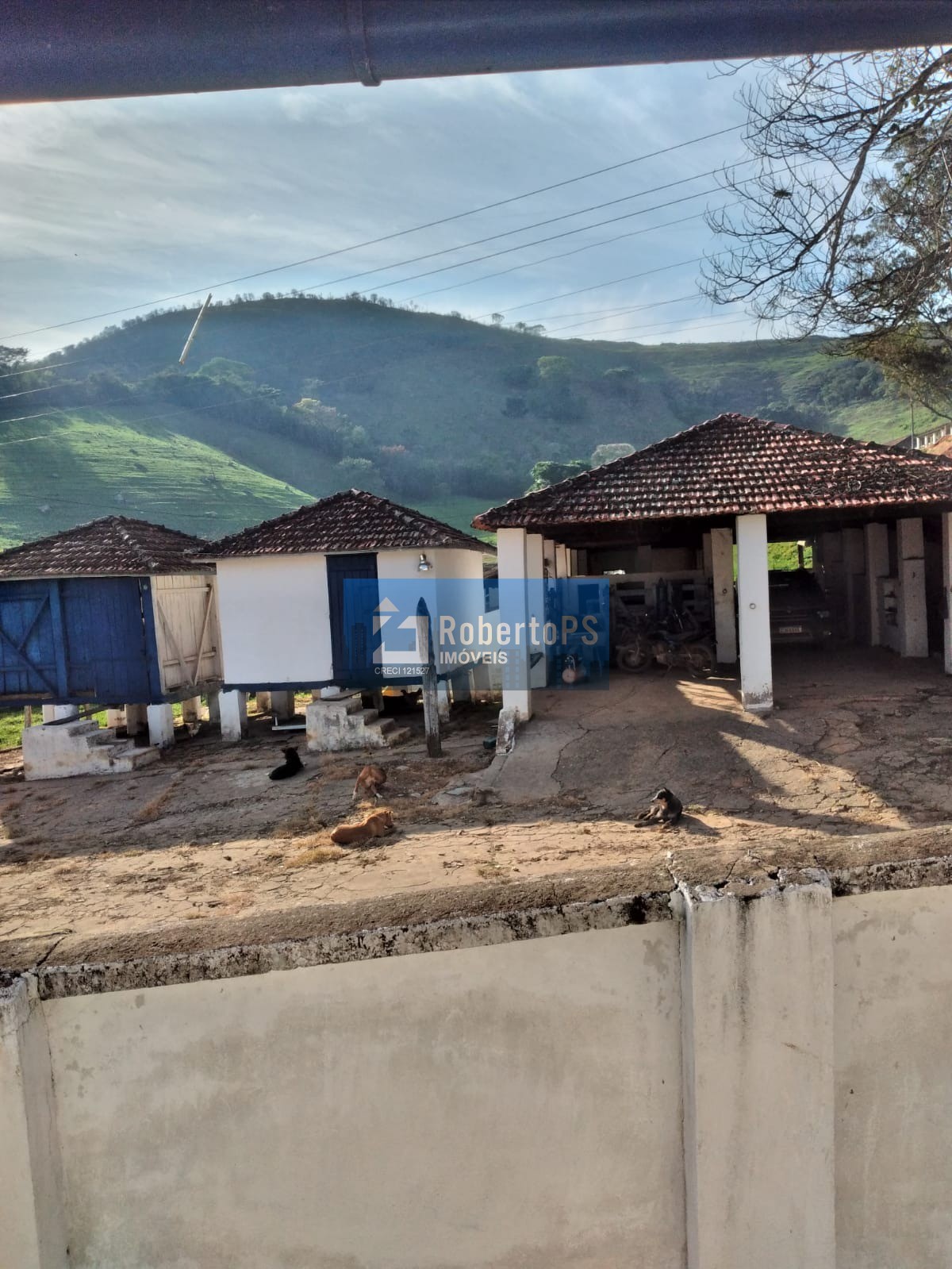 Fazenda em cruzília a 7 km da rodovia com 245 hectares para 