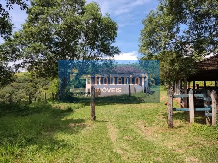 Fazenda a venda com 347 hectares no Sul de Minas por R$10,000.000,00