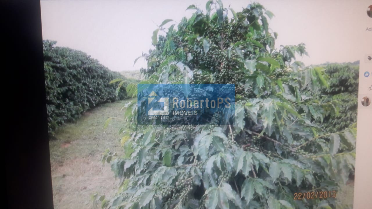 Fazenda com 206 hectares localizada entre são lourenço e cax
