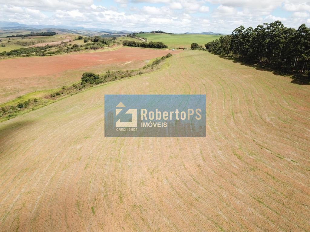 Fazenda no sul de minas de 440 hectares