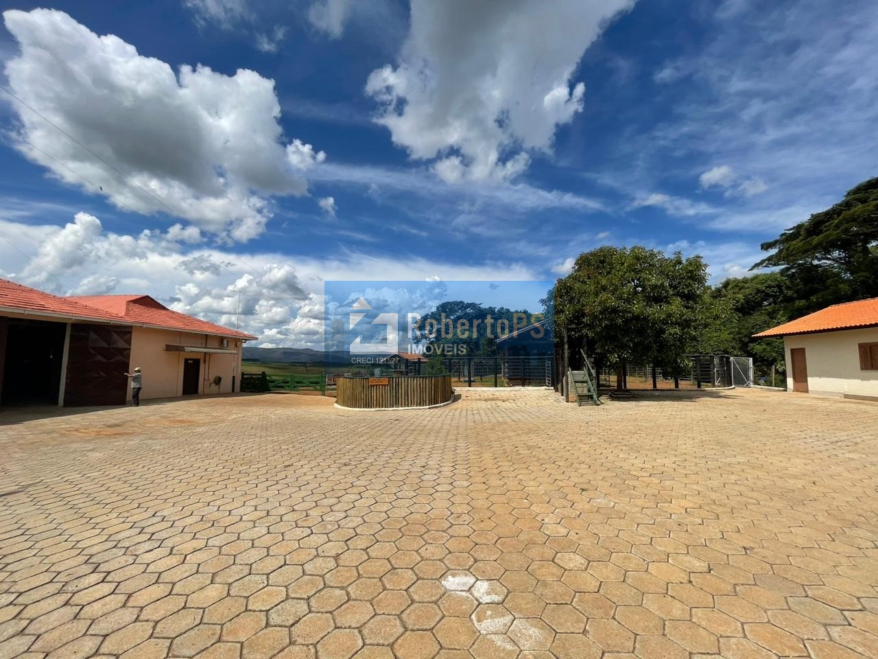 Fazenda comercial à venda em minduri-mg - bairro centro, 171