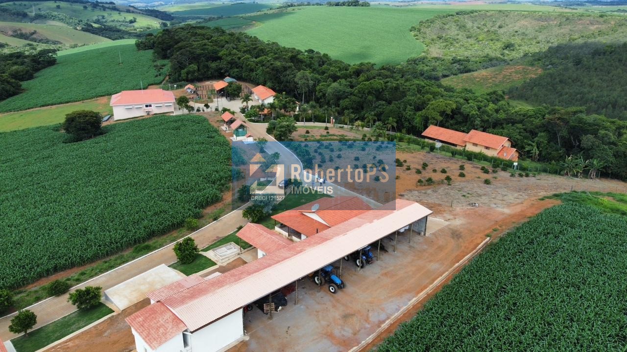 Fazenda comercial à venda em minduri-mg - bairro centro, 171