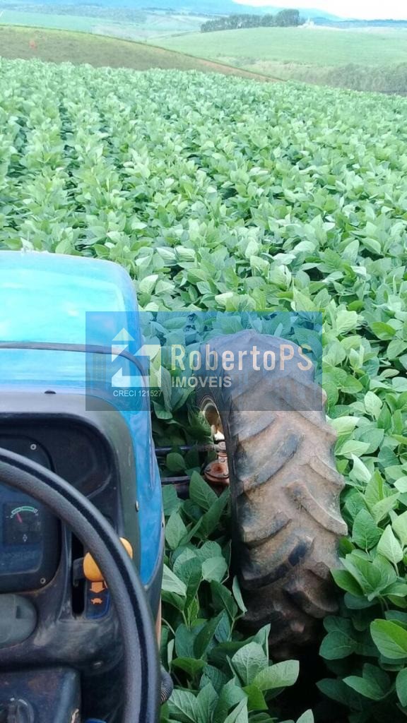 Fazenda no Sul de Minas de 440 hectares