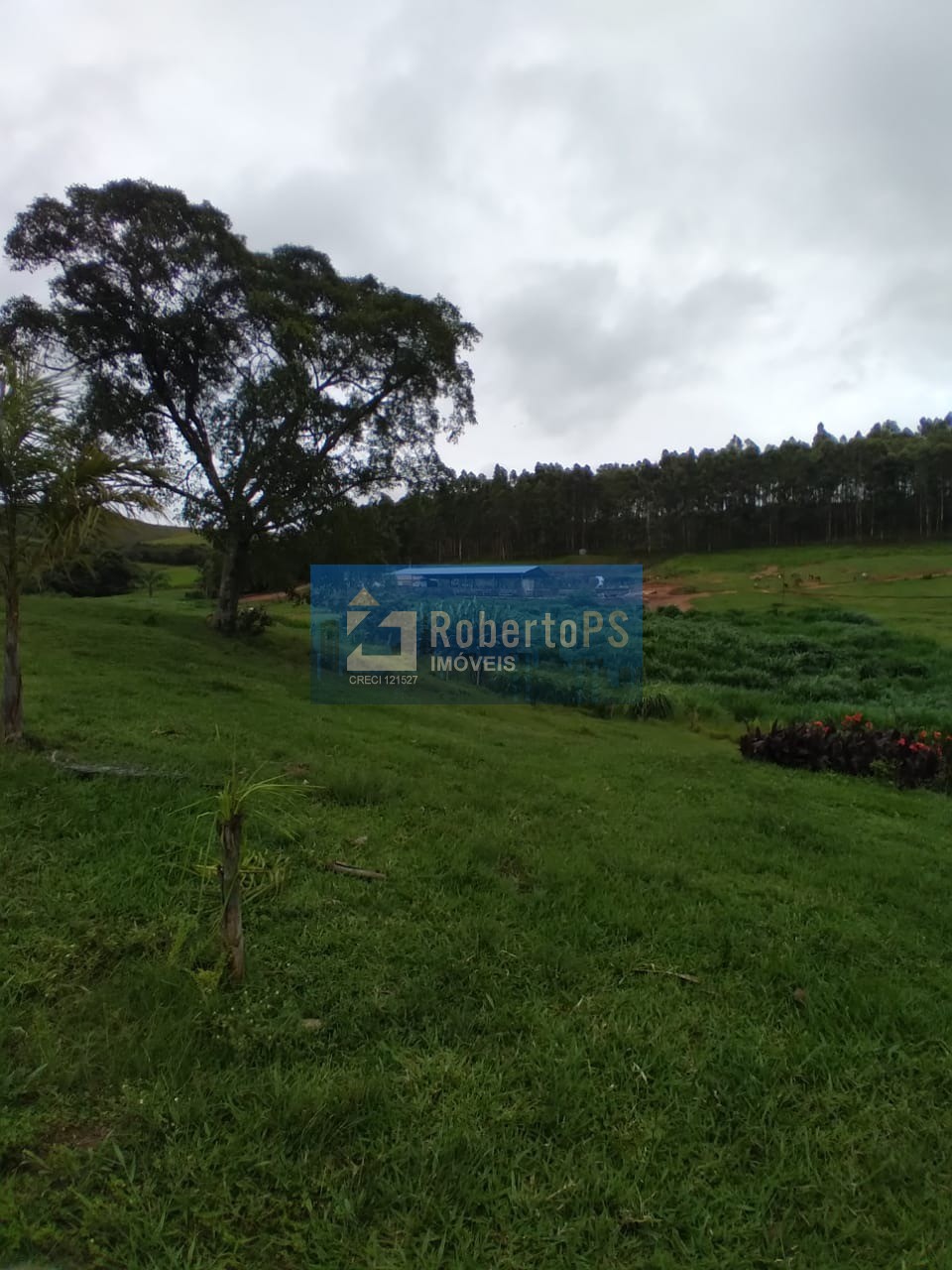 Vende-se fazenda roseta a 11 km do asfalto possui casa sede 