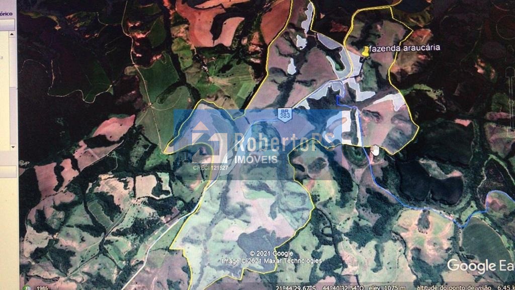 Fazenda no Sul de Minas de 440 hectares