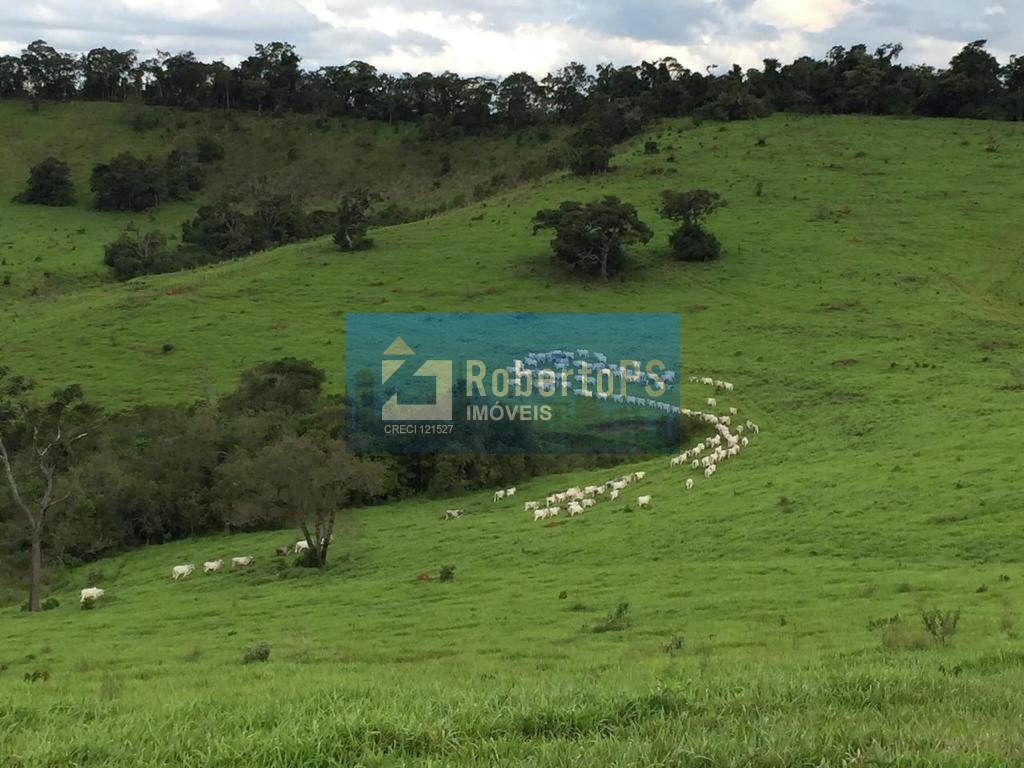 Fazenda no sul de minas de 440 hectares