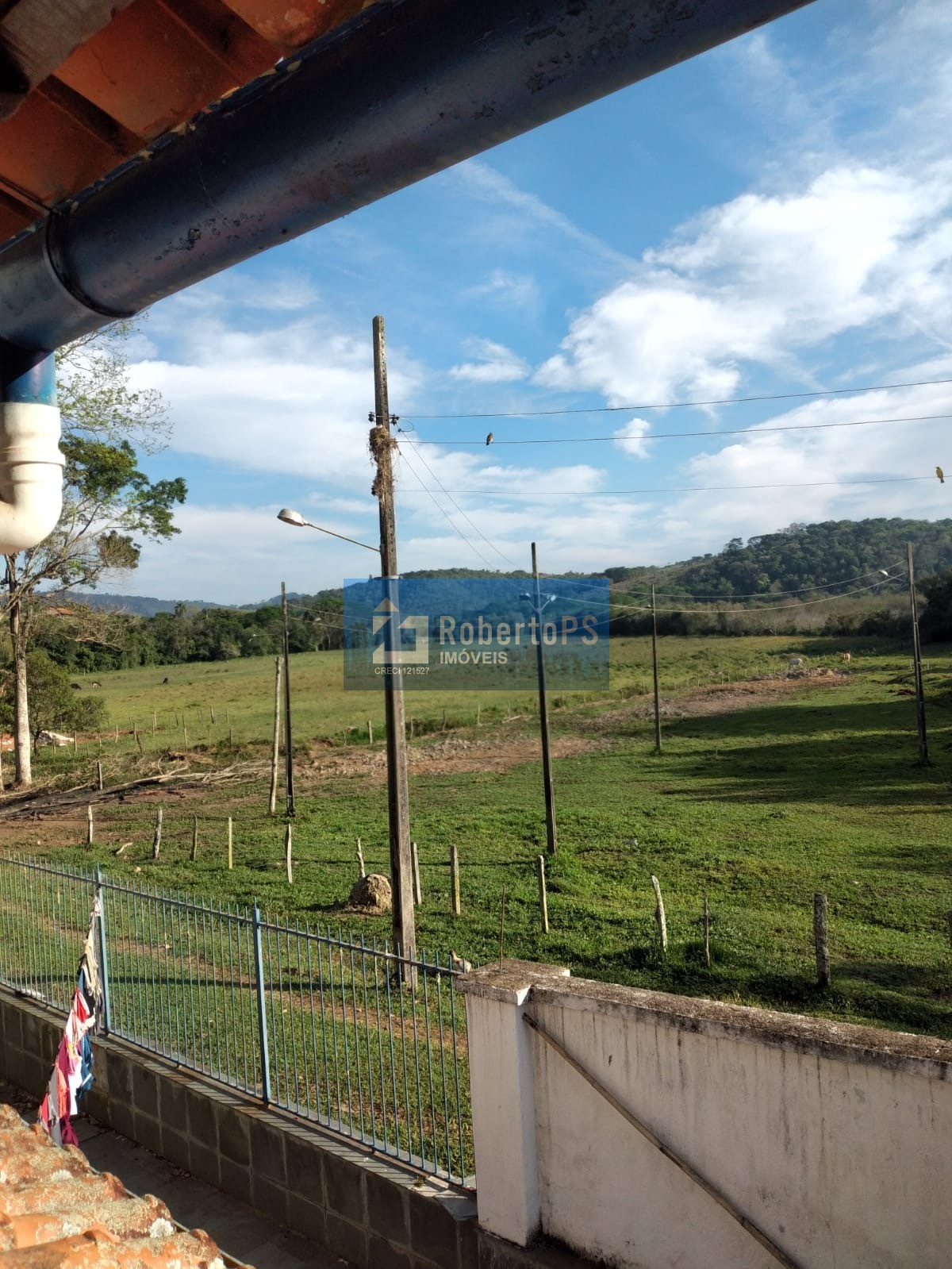 Fazenda em cruzília a 7 km da rodovia com 245 hectares para 