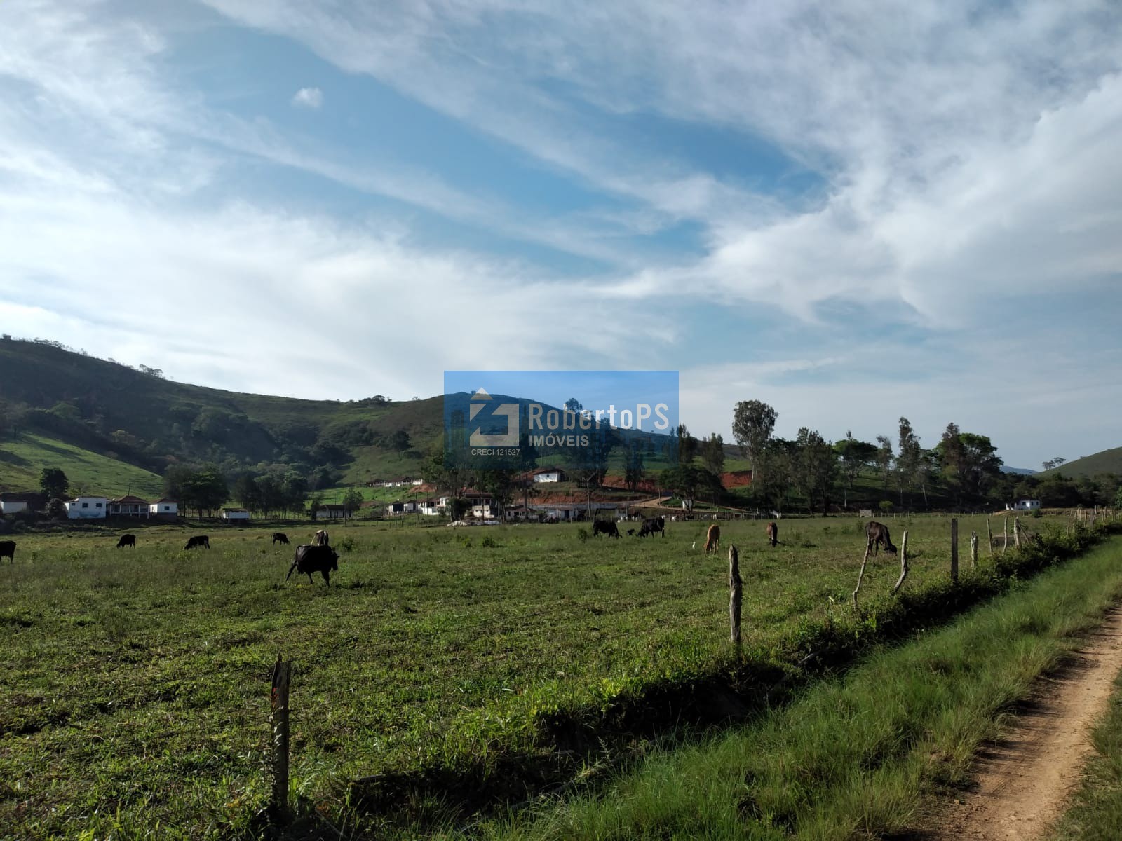 Fazenda em cruzília a 7 km da rodovia com 245 hectares para 