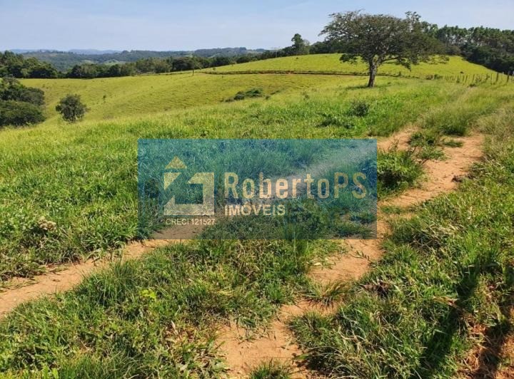 Fazenda de 242 hectares no Centro de Cruzília-MG, com 8 banheiros, à venda!