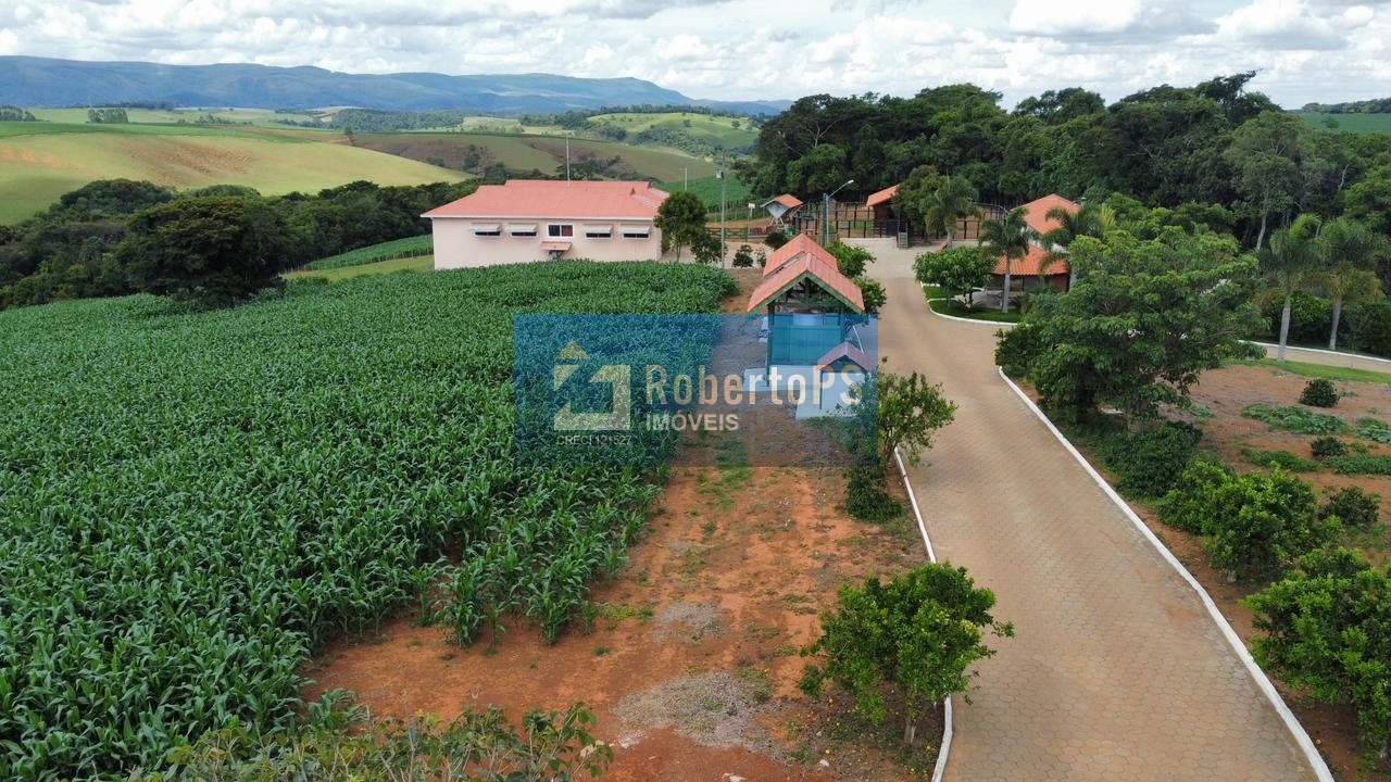 Fazenda comercial à venda em minduri-mg - bairro centro, 171