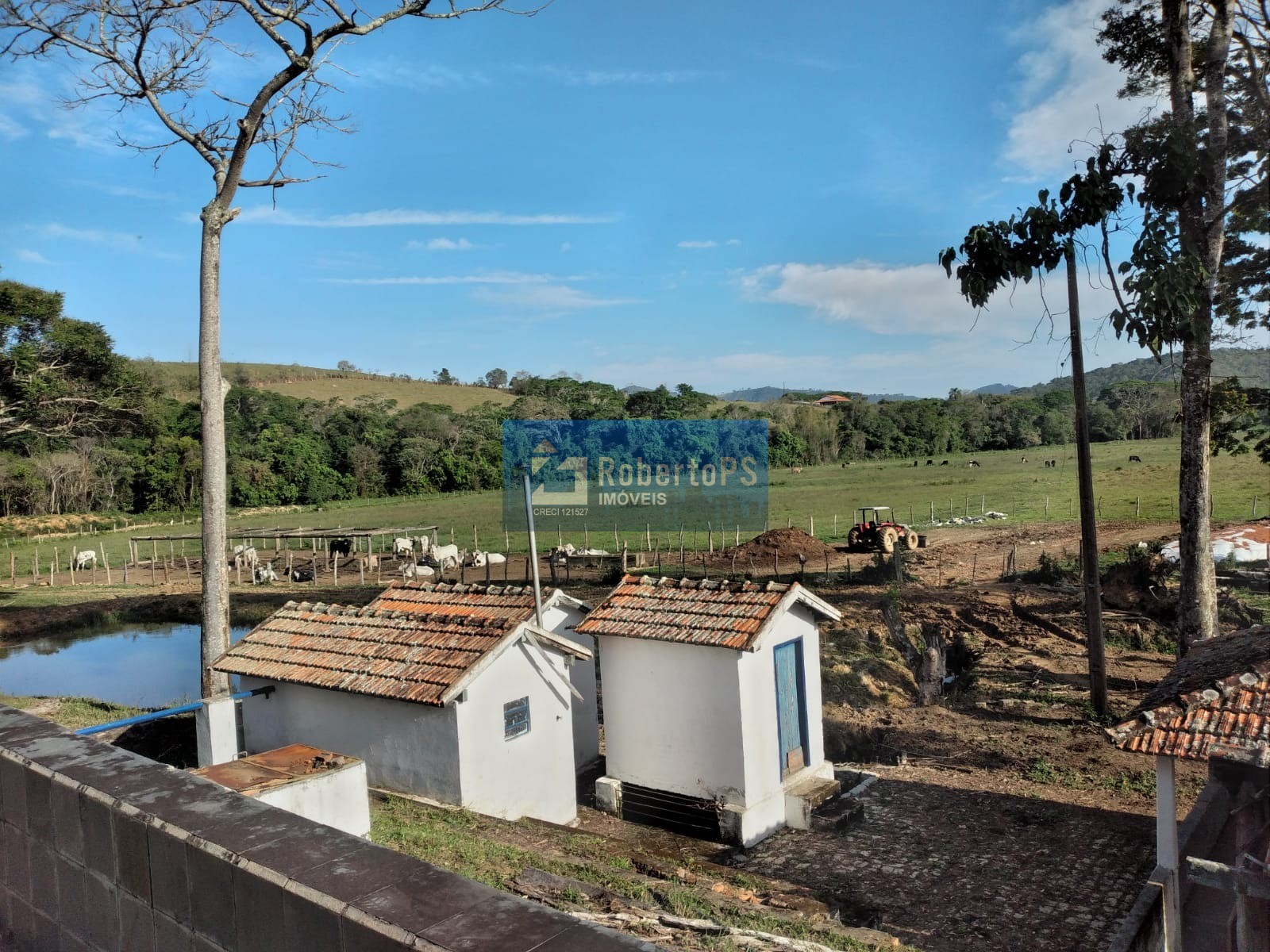 Fazenda em cruzília a 7 km da rodovia com 245 hectares para 