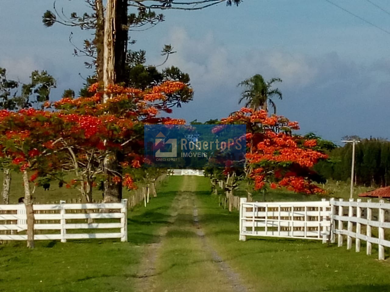 Fazenda à venda em sarapuí-sp: 15 quartos, 15 suítes, 4 sala