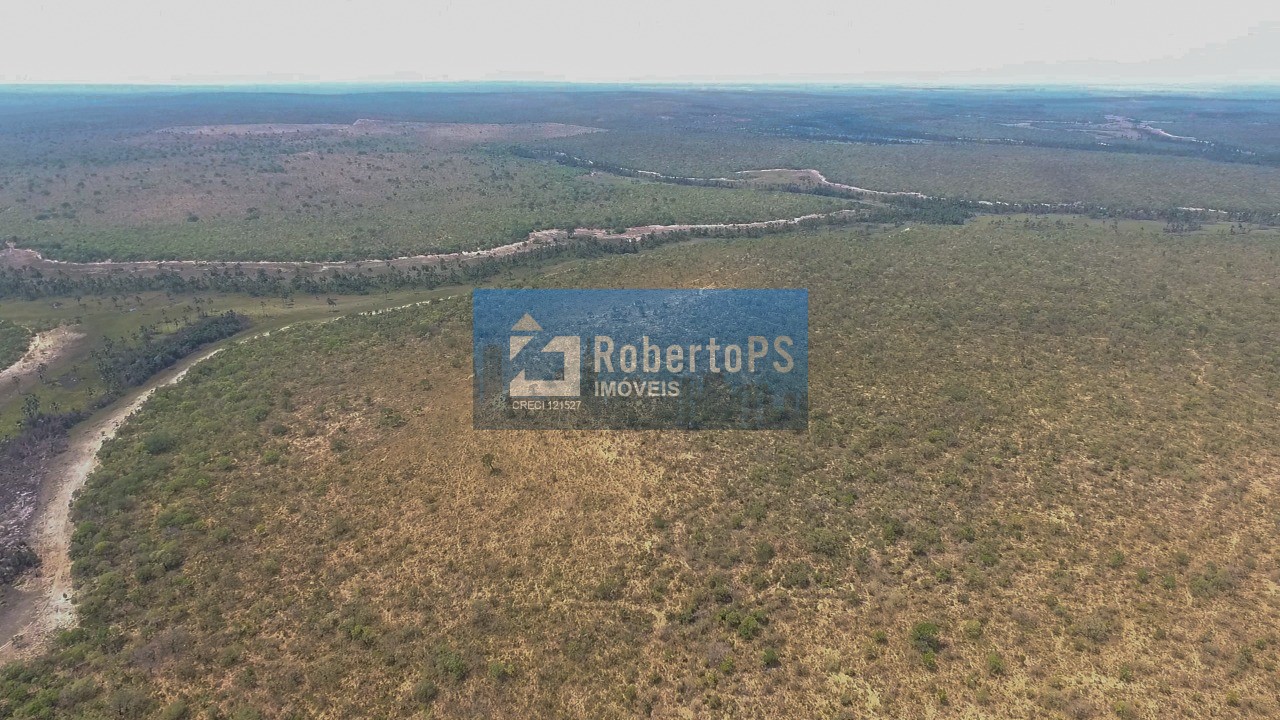 Oportunidade única: fazenda à venda em alvorada do norte-go,
