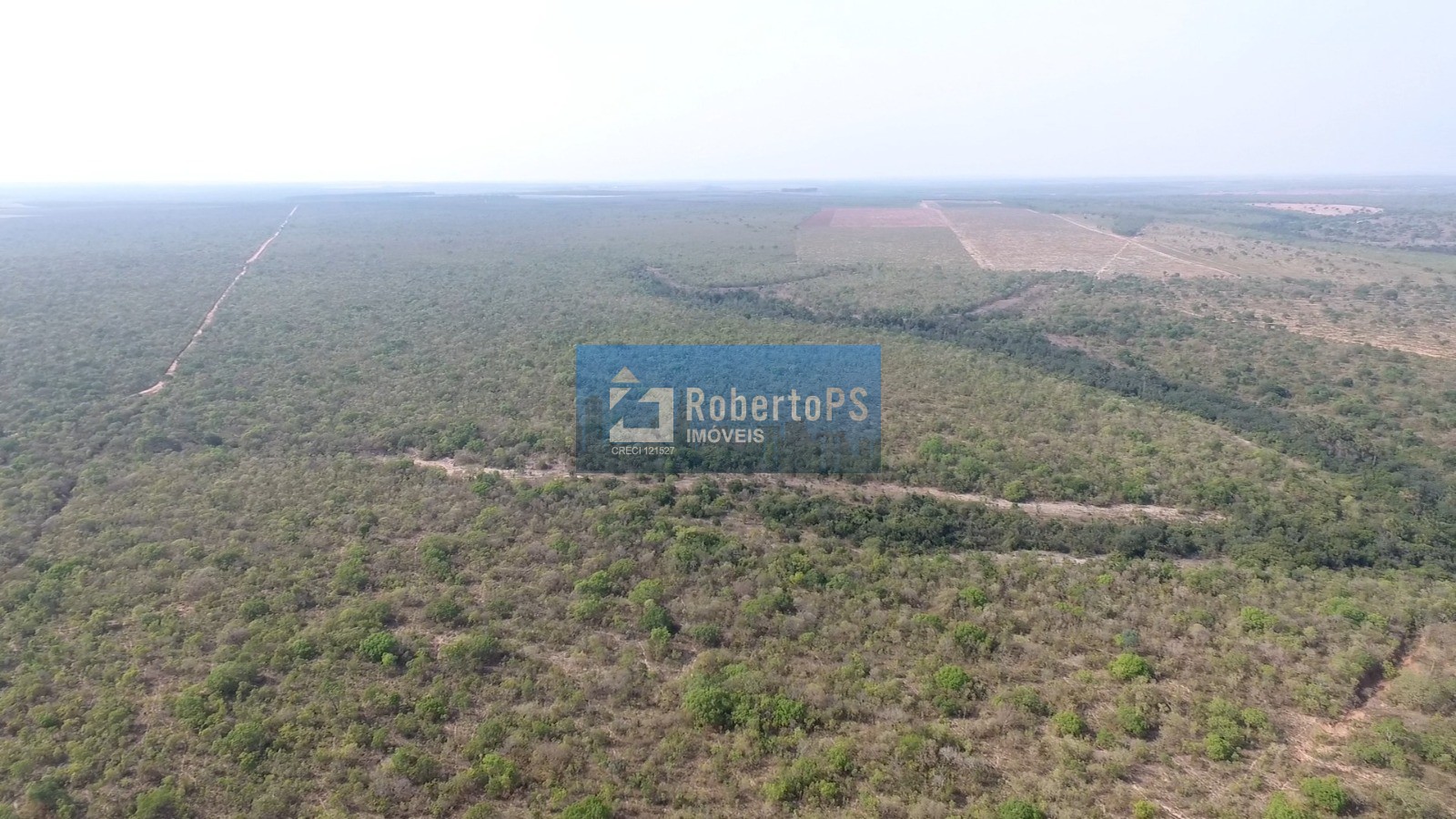 Oportunidade única: fazenda à venda em alvorada do norte-go,