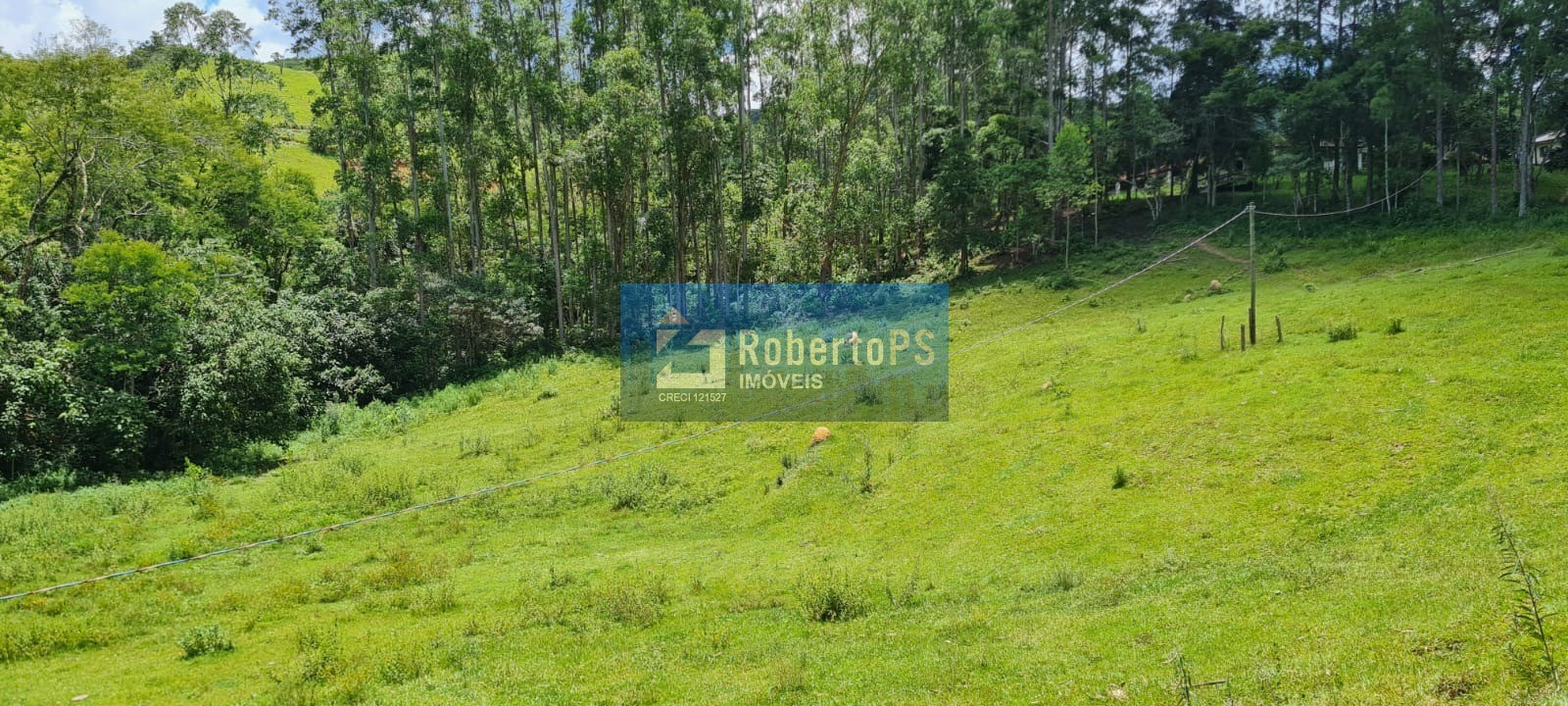 Maravilhoso sitio a venda em monteiro lobato