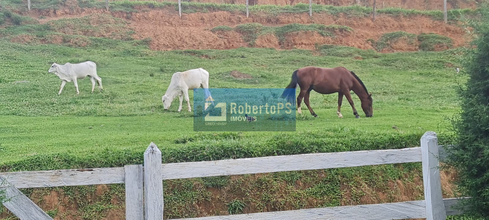 Maravilhoso sitio a venda em monteiro lobato