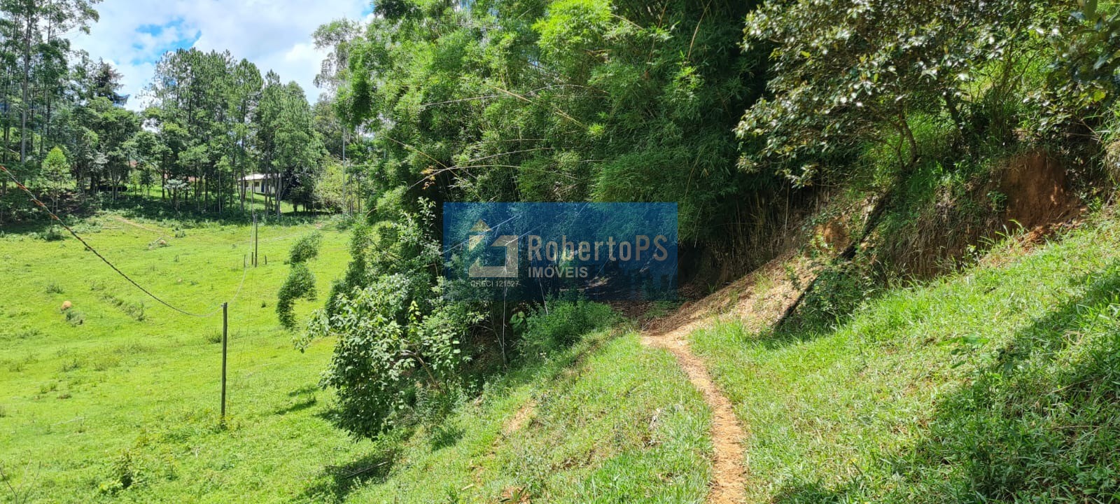 Maravilhoso sitio a venda em monteiro lobato