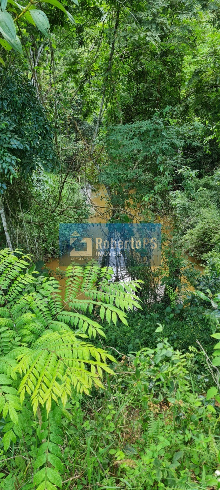 Maravilhoso sitio a venda em monteiro lobato