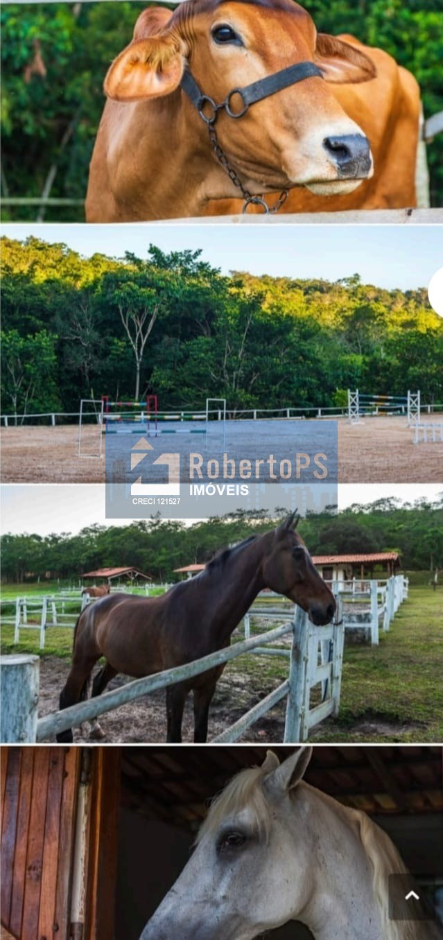 Hotel comercial à venda em brasília-df, bairro gama: 23 quar - foto 4