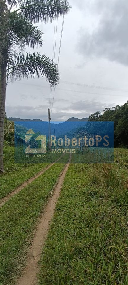 Fazenda com 57 alqueires, no pé da serra da mantiqueira. - foto 4