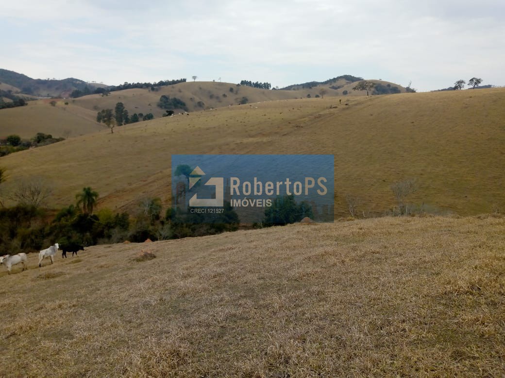 Excelente fazenda para pecuária em Cambuí - MG próxima ao Estado de São Paulo a 1 Km da Rodovia Fernão Dias