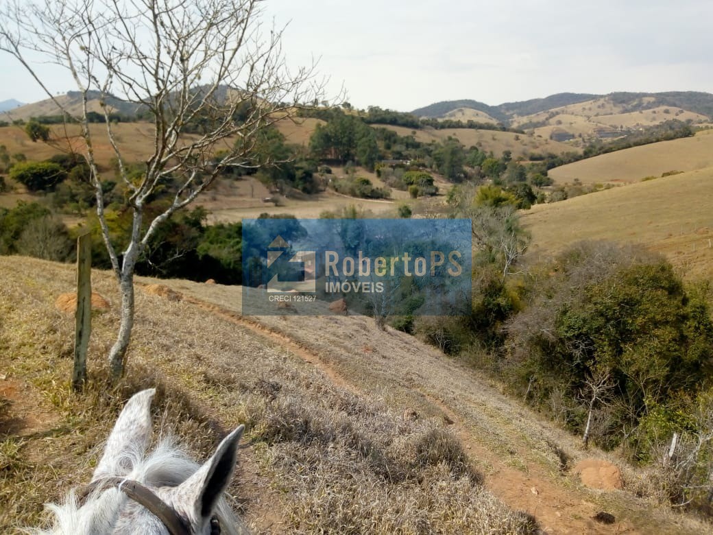 Excelente fazenda para pecuária em Cambuí - MG próxima ao Estado de São Paulo a 1 Km da Rodovia Fernão Dias