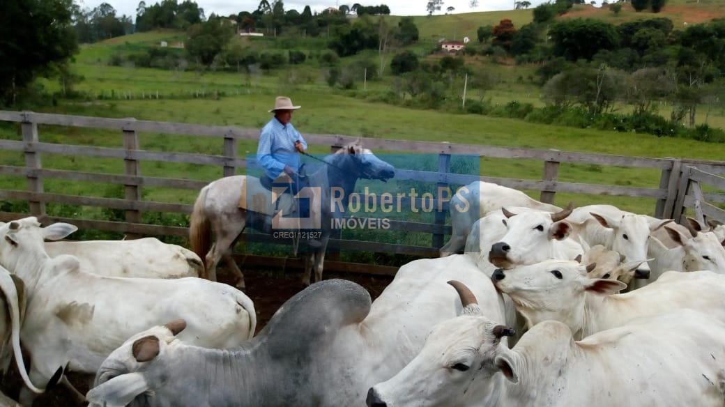 Excelente fazenda para pecuária em cambuí - mg próxima ao es