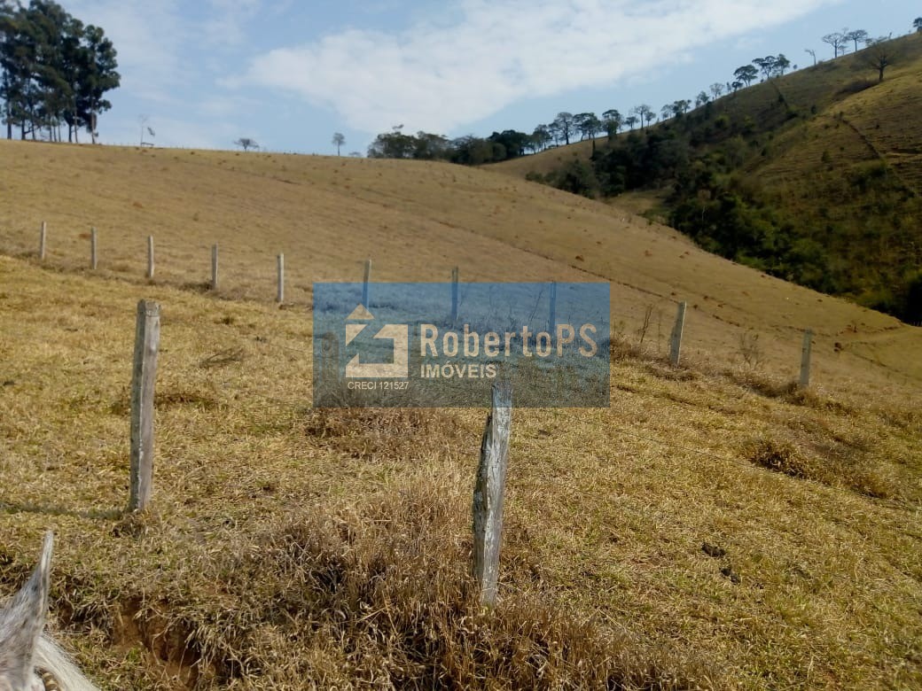 Excelente fazenda para pecuária em Cambuí - MG próxima ao Estado de São Paulo a 1 Km da Rodovia Fernão Dias