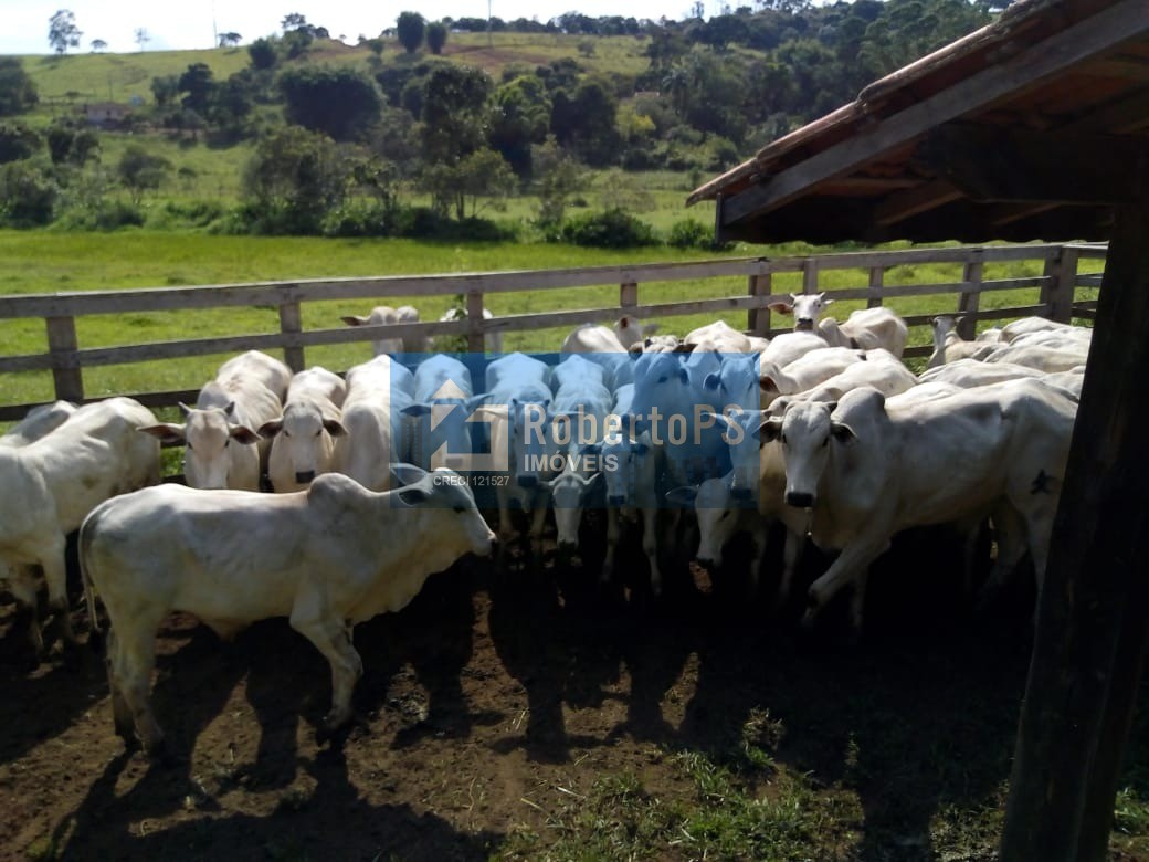 Excelente fazenda para pecuária em cambuí - mg próxima ao es