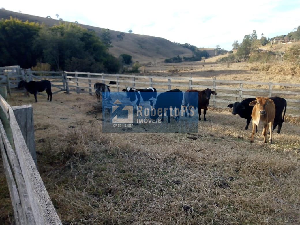 Excelente fazenda para pecuária em Cambuí - MG próxima ao Estado de São Paulo a 1 Km da Rodovia Fernão Dias