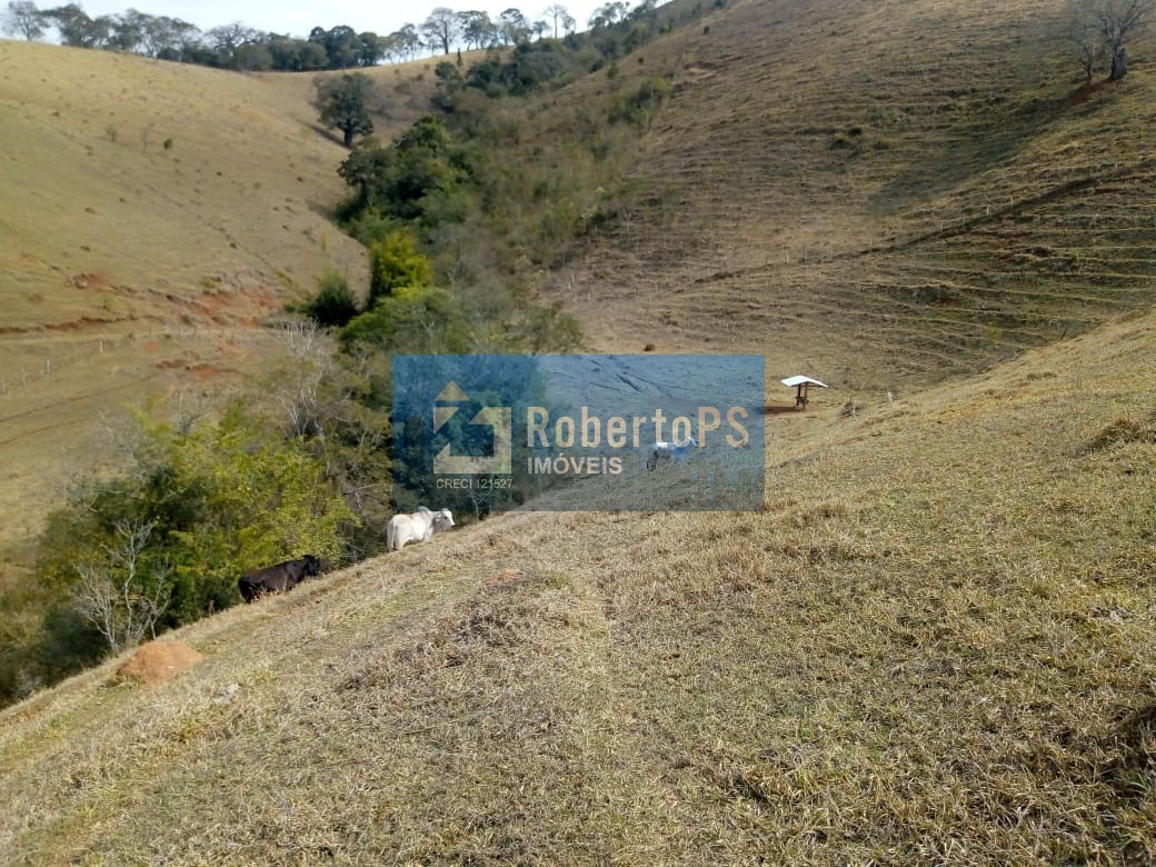 Excelente fazenda para pecuária em Cambuí - MG próxima ao Estado de São Paulo a 1 Km da Rodovia Fernão Dias