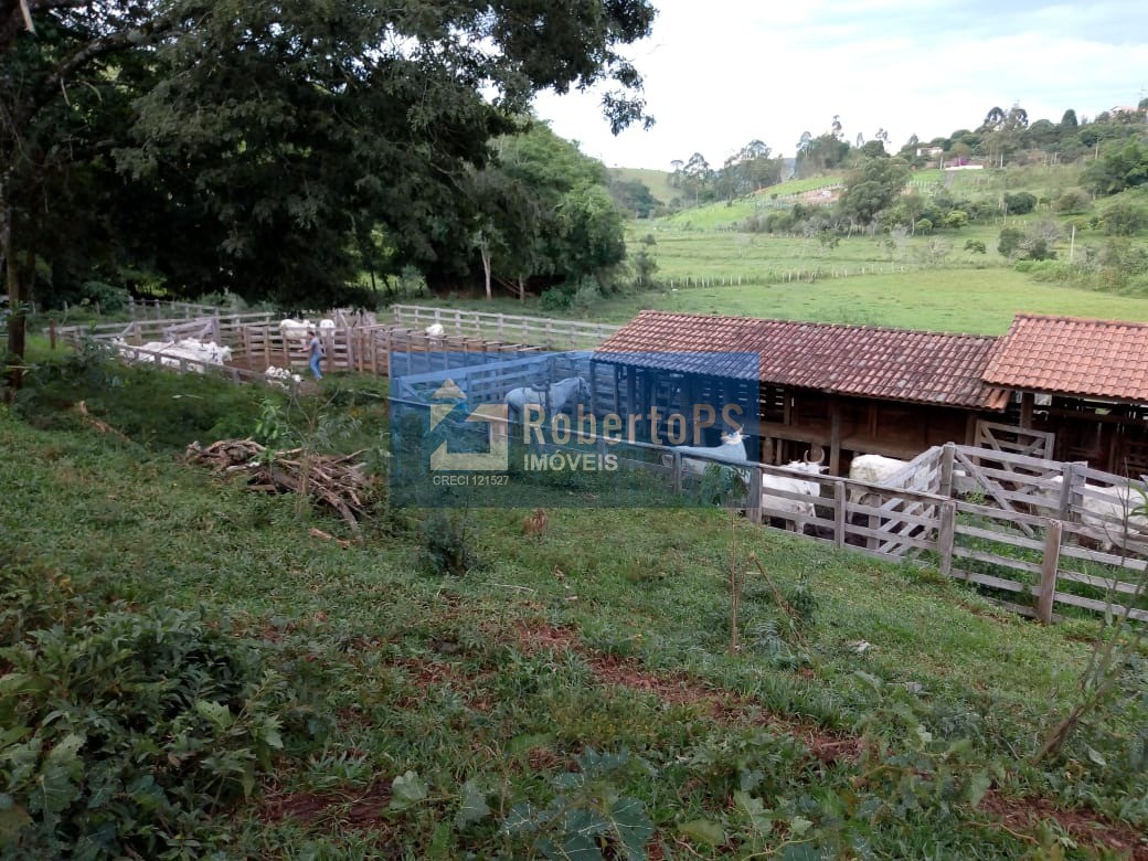 Excelente fazenda para pecuária em cambuí - mg próxima ao es