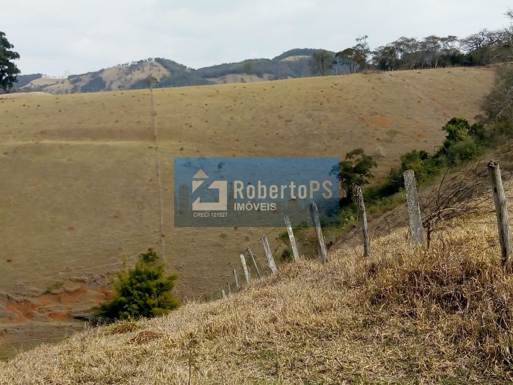 Excelente fazenda para pecuária em Cambuí - MG próxima ao Estado de São Paulo a 1 Km da Rodovia Fernão Dias