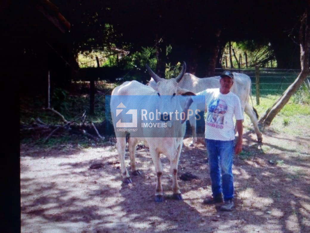 Excelente fazenda para pecuária em cambuí - mg próxima ao es