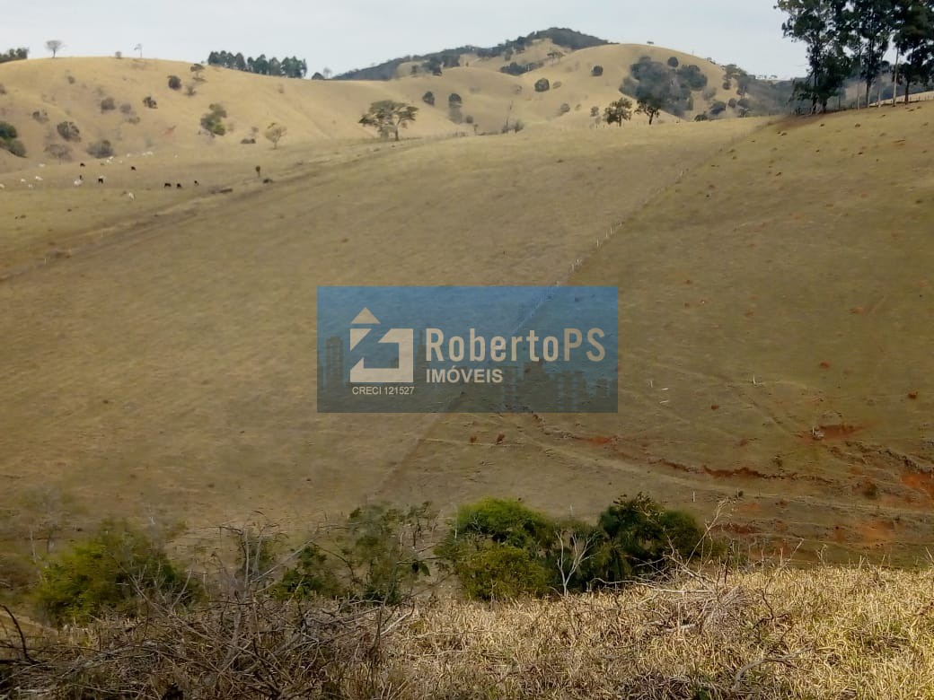 Excelente fazenda para pecuária em Cambuí - MG próxima ao Estado de São Paulo a 1 Km da Rodovia Fernão Dias