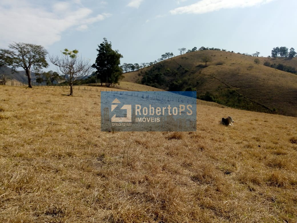 Excelente fazenda para pecuária em Cambuí - MG próxima ao Estado de São Paulo a 1 Km da Rodovia Fernão Dias